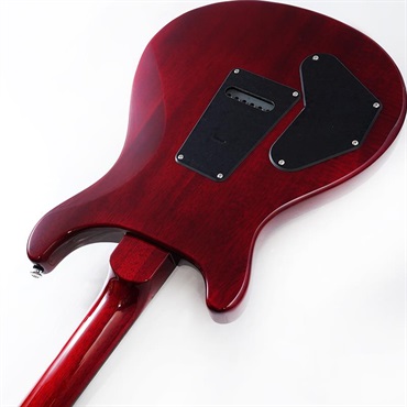 P.R.S. SE DGT Standard (Vintage Cherry) SN.CTIH053446 【2025年生産品】 画像6