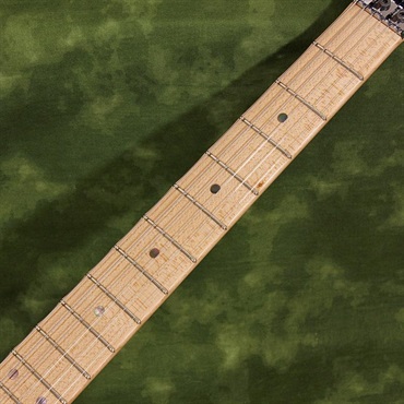 JAMES TYLER USED 中古 Studio Elite Ash Body Transparent Royal Blue w/Floyd Rose SN. 20010 画像8