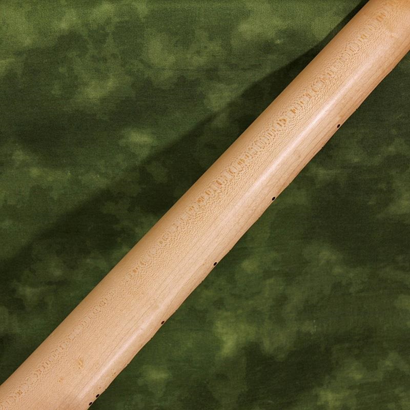 JAMES TYLER USED 中古 Studio Elite Ash Body Transparent Royal Blue w/Floyd Rose SN. 20010 画像9