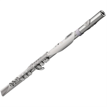 Roland ローランド / Aerophone Brisa デジタル管楽器 AE-BRISA エアロフォン・ブリサ【11月21日発売・初回入荷分予約受付中】 画像1