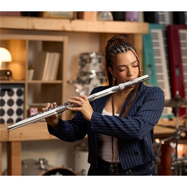 Roland ローランド / Aerophone Brisa デジタル管楽器 AE-BRISA エアロフォン・ブリサ【11月21日発売・初回入荷分予約受付中】 画像8