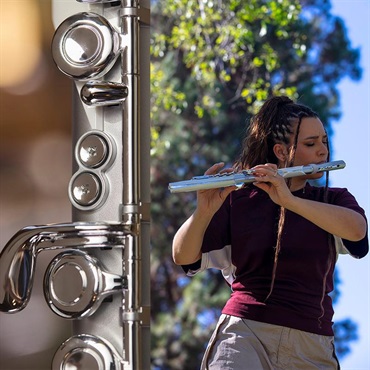 Roland ローランド / Aerophone Brisa デジタル管楽器 AE-BRISA エアロフォン・ブリサ【11月21日発売・初回入荷分予約受付中】 画像9