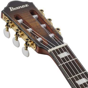 Ibanez 【11月6日入荷予定】 FRH20SMN-TCL (Tobacco Burst Low Gloss) [SPOT MODEL] 画像6