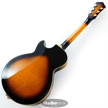 Ibanez GB10-BS [George Benson Model] 画像2