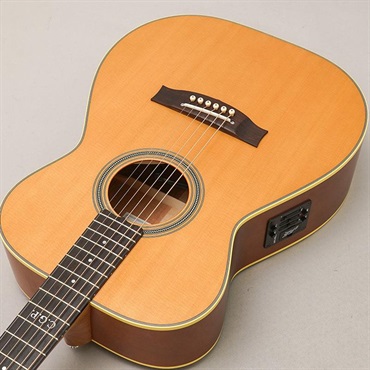MATON Master Built TE Personal メイトン 画像4