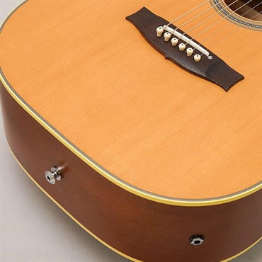 MATON Master Built TE Personal メイトン 画像7