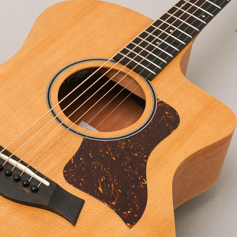 TAYLOR 14ce テイラー 画像6