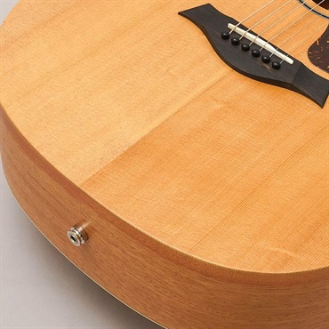 TAYLOR 14ce テイラー 画像7