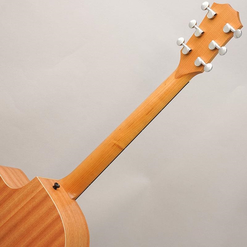 TAYLOR 14ce テイラー 画像9