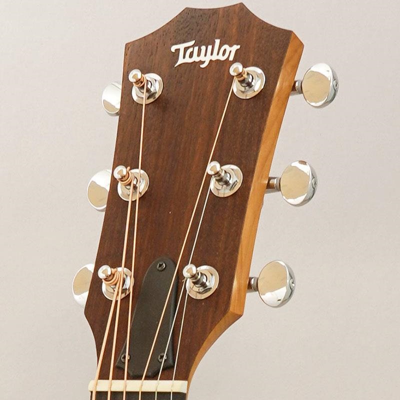 TAYLOR 14ce テイラー 画像10