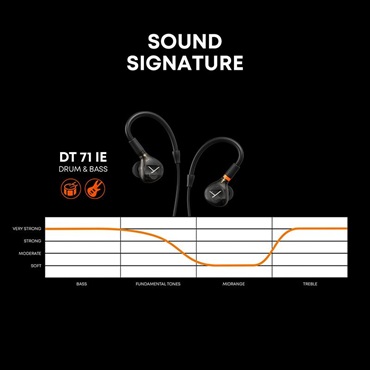 beyerdynamic DT 71 IE Drum & Bass (ベイヤーダイナミック)(IEM)(インイヤーモニター)(ドラム・ベースプレイヤー向き) 画像2