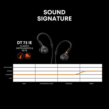 beyerdynamic DT 73 IE Classic Instruments & Keys (ベイヤーダイナミック)(IEM)(インイヤーモニター)(キーボード・クラシック楽器向き) 画像2