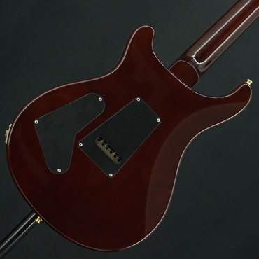 P.R.S. USED 中古 Custom24 10Top Bird (Turtoise Shell )［SN.7 30406 ］ Paul Reed Smith ポールリードスミス 画像1