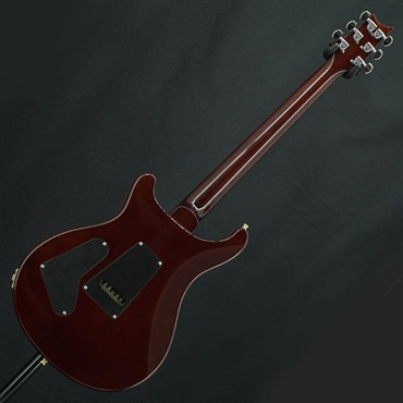 P.R.S. USED 中古 Custom24 10Top Bird (Turtoise Shell )［SN.7 30406 ］ Paul Reed Smith ポールリードスミス 画像3