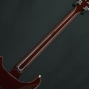 P.R.S. USED 中古 Custom24 10Top Bird (Turtoise Shell )［SN.7 30406 ］ Paul Reed Smith ポールリードスミス 画像5