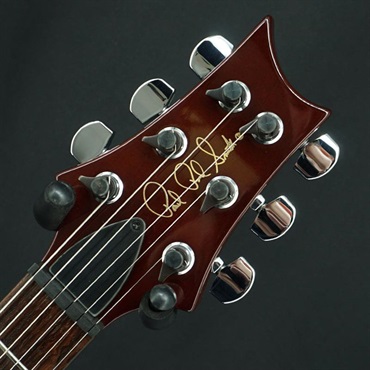 P.R.S. USED 中古 Custom24 10Top Bird (Turtoise Shell )［SN.7 30406 ］ Paul Reed Smith ポールリードスミス 画像6