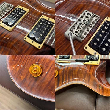 P.R.S. USED 中古 Custom24 10Top Bird (Turtoise Shell )［SN.7 30406 ］ Paul Reed Smith ポールリードスミス 画像8