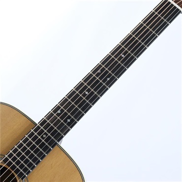 EASTMAN E8D-TC イーストマン 画像2