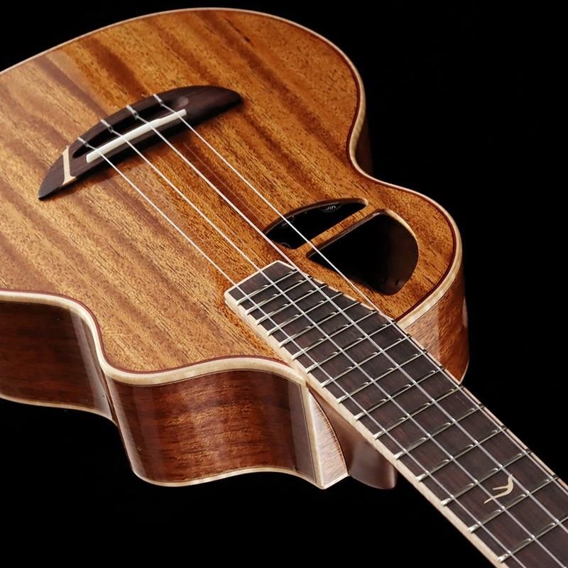 L.Luthier Le Light ST アコースティック ギター 未使用近い L.Luthier エルルシアー Le Light ST アコースティックギター 小振りな