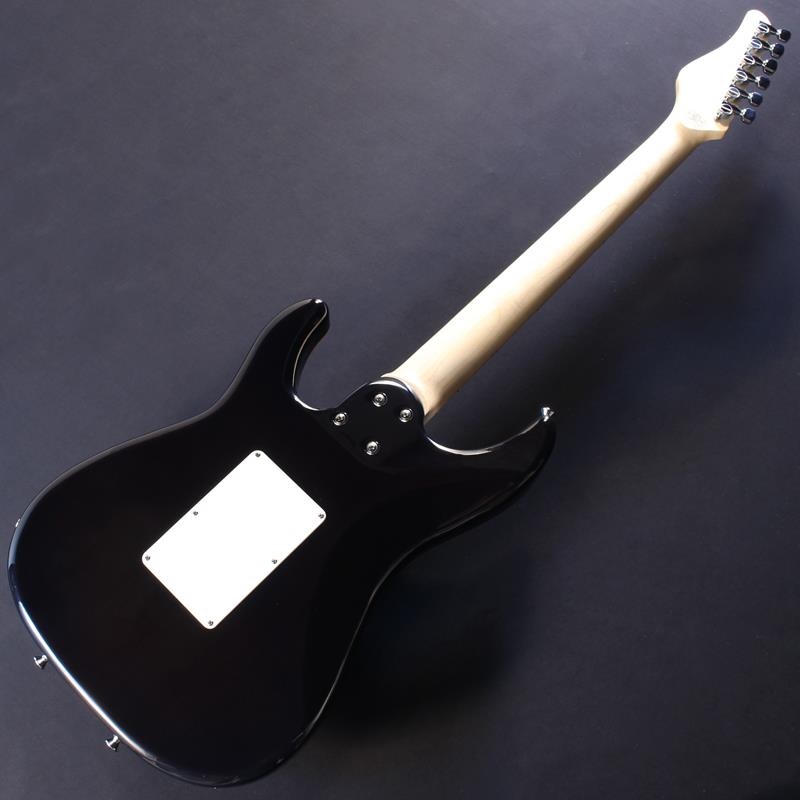 SCHECTER SD-2-24-AL (See-Thru Pink/Maple) #S2507307 ｜イケベ楽器店