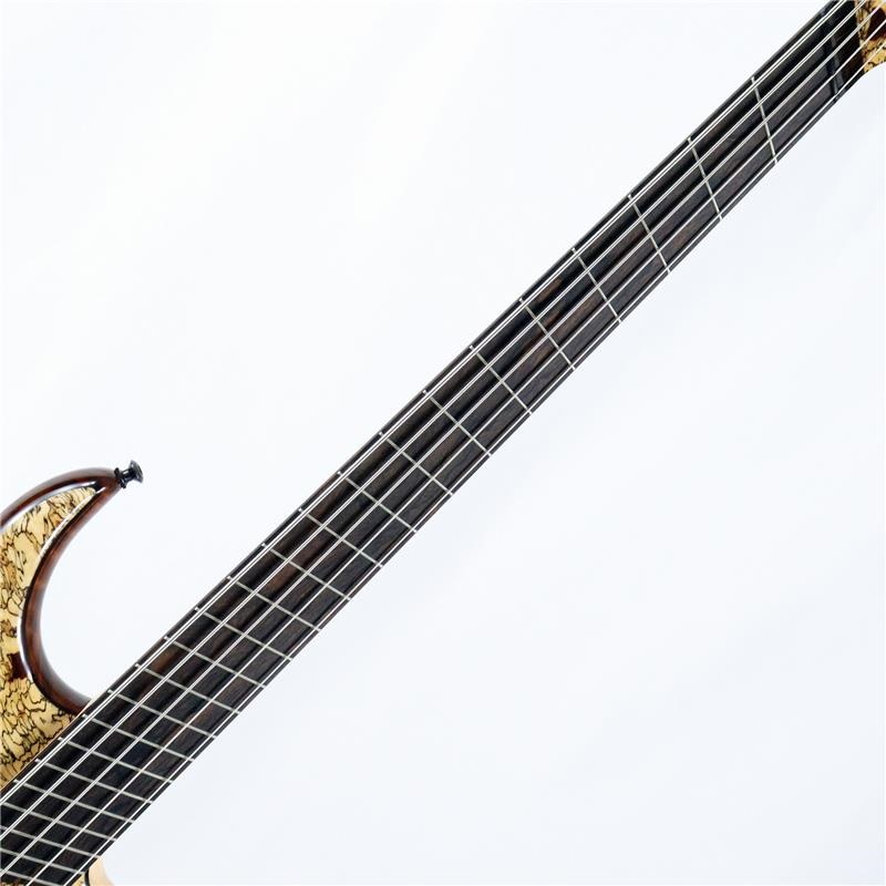 DINGWALL Prima Artist 5strings Spalted Tamarind Top 画像2