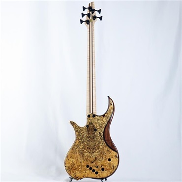 DINGWALL Prima Artist 5strings Spalted Tamarind Top 画像5