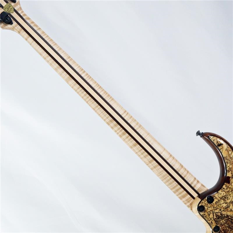 DINGWALL Prima Artist 5strings Spalted Tamarind Top 画像7