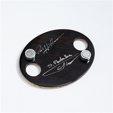 DINGWALL Prima Artist 5strings Spalted Tamarind Top 画像9