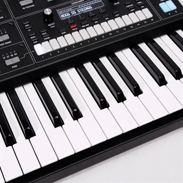 moog 【Countdownセール】(1台限定・開封アウトレット品超特価！)Muse (ミューズ)8ボイス・アナログ・バイティンバー・ポリフォニック・シンセサイザー (モーグ) (アナログシンセサイザー) 画像3