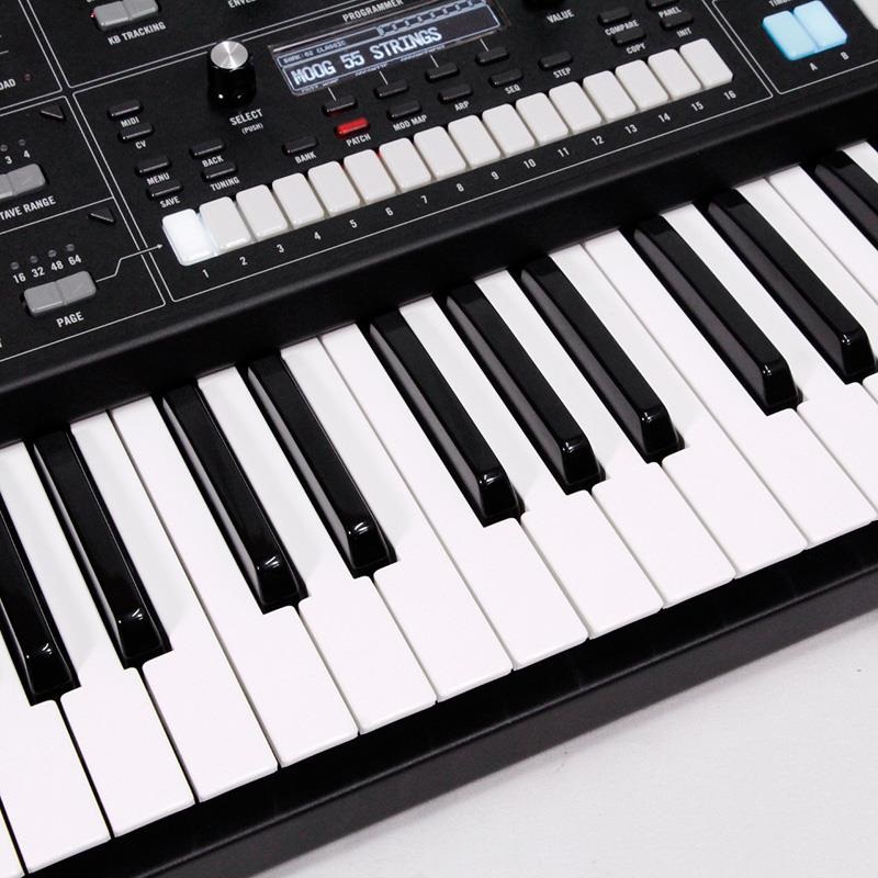 moog 【ブラックフライデーセール】(1台限定・開封アウトレット品超