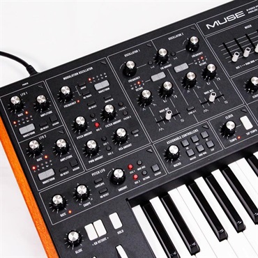 moog 【Countdownセール】(1台限定・開封アウトレット品超特価！)Muse (ミューズ)8ボイス・アナログ・バイティンバー・ポリフォニック・シンセサイザー (モーグ) (アナログシンセサイザー) 画像4