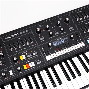 moog 【Countdownセール】(1台限定・開封アウトレット品超特価！)Muse (ミューズ)8ボイス・アナログ・バイティンバー・ポリフォニック・シンセサイザー (モーグ) (アナログシンセサイザー) 画像5
