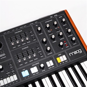 moog 【Countdownセール】(1台限定・開封アウトレット品超特価！)Muse (ミューズ)8ボイス・アナログ・バイティンバー・ポリフォニック・シンセサイザー (モーグ) (アナログシンセサイザー) 画像6
