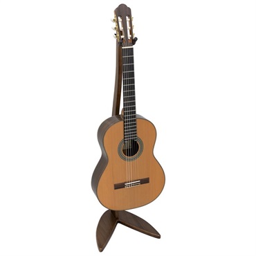 ARIA WGS-100/WA　-Walnut- 画像1