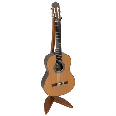 ARIA WGS-100/SA　-Sapelli- 画像1