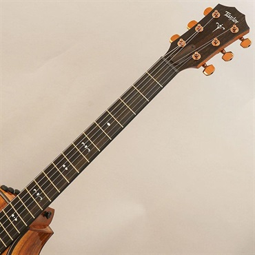 TAYLOR 724ce V-Class テイラー 画像8