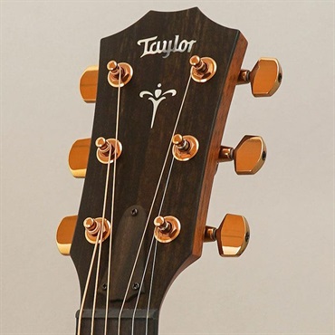 TAYLOR 724ce V-Class テイラー 画像10