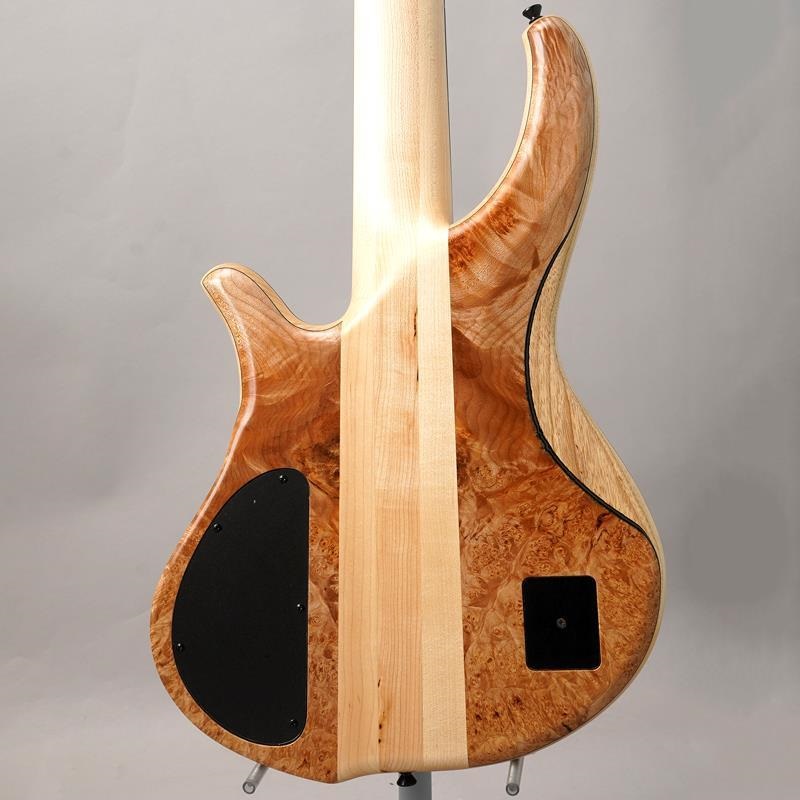 Phoenix PH9-5 Burl Maple 画像2