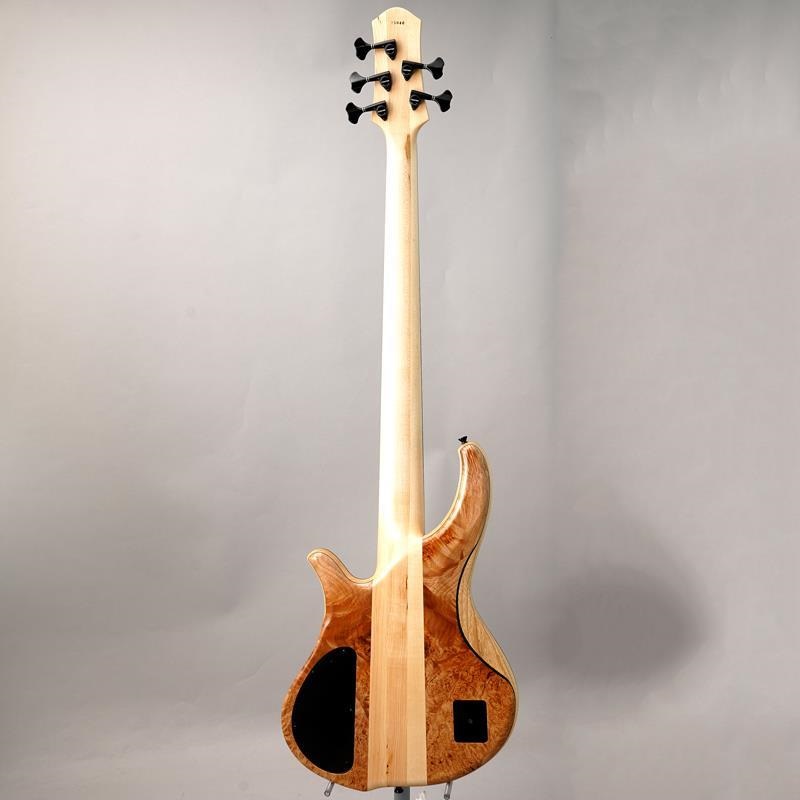 Phoenix PH9-5 Burl Maple 画像3