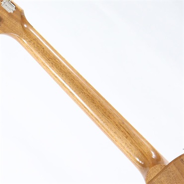 Gibson Les Paul Standard '50s Double Trouble (Vintage Bourbon Burst) [SN.224050046] 画像6