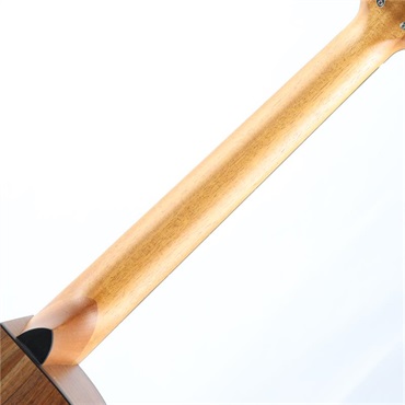 Furch Blue  OMc-SW フォルヒ 画像7