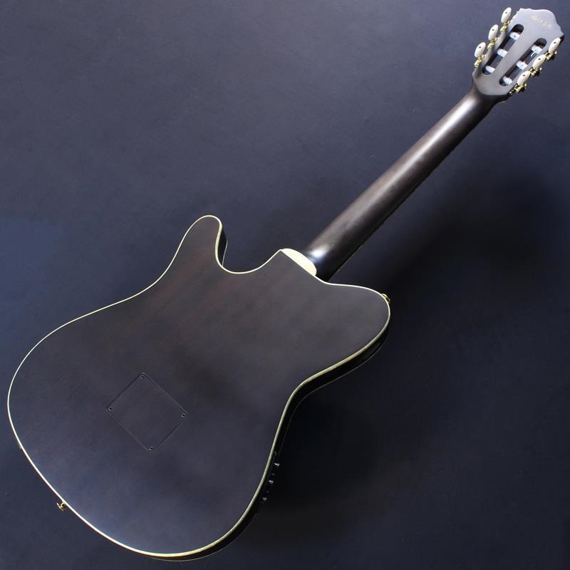 ギター Tenada-HF-80 Tenada-HF-80