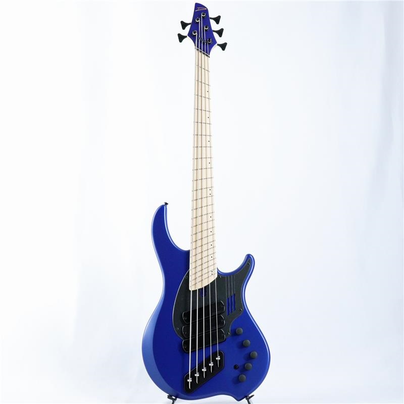 DINGWALL NG-3 5st Adam Nolly Getgood Signature Model (Blueberry) 画像1