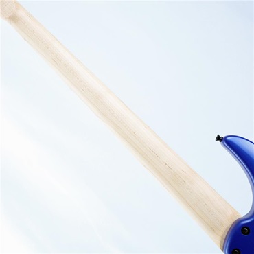 DINGWALL NG-3 5st Adam Nolly Getgood Signature Model (Blueberry) 画像6