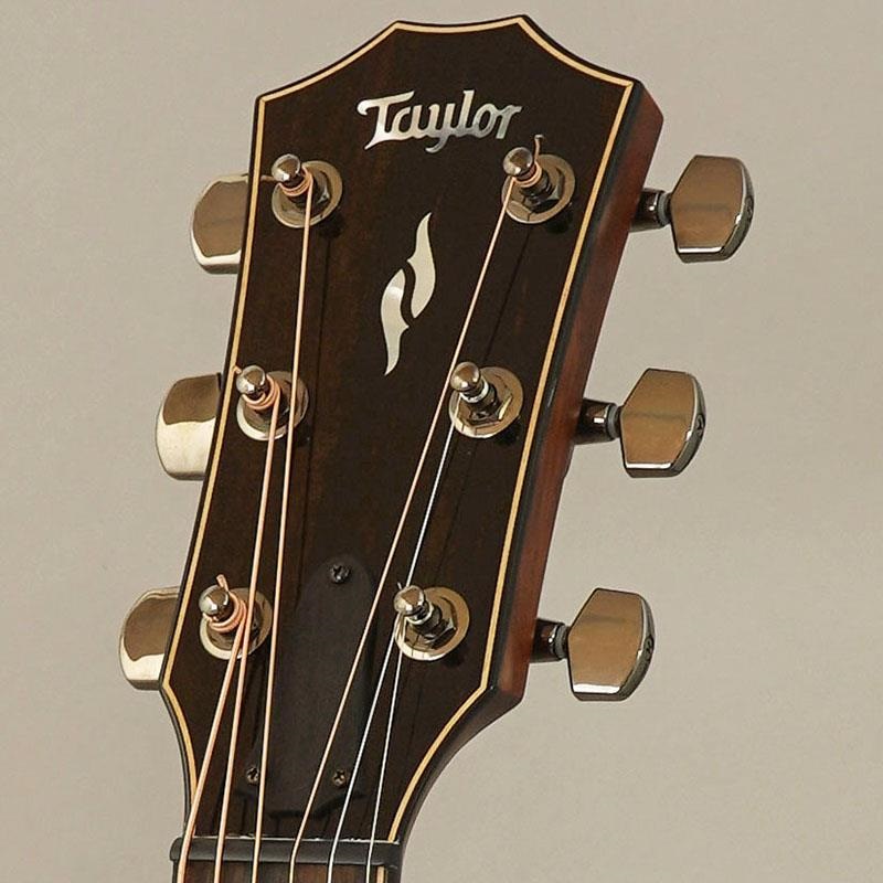 TAYLOR 【新楽器応援セール】【チョイキズ特価】814ce テイラー