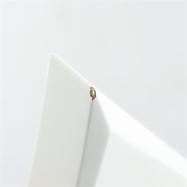 Jackson MJ Series Rhoads RRT (Snow White/Ebony) 【キズあり特価】 画像9