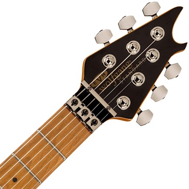 EVH Wolfgang WG Standard Exotic Zebrawood (Natural/Baked Maple) 画像4