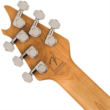 EVH Wolfgang WG Standard Exotic Zebrawood (Natural/Baked Maple) 画像5