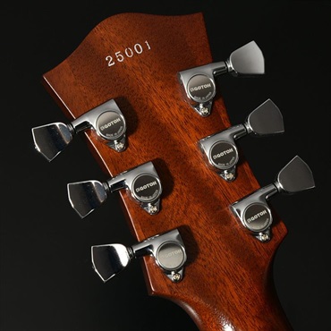 Bacchus Unique Series DUKE Year Of The Snake (OLV-PF) 【Deviser One Day Guitar Show 2025 選定品】 画像6