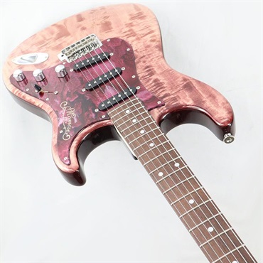 momose MC-TOCHI WSE’25/NJ (VWR-GRD) [SN.21411] 【Deviser One Day Guitar Show 2025 選定品】 画像4